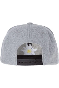 Edelweiss Bavarian Cap -Trachten Verkauf D497B2D7C37D42522B7668A47444D4CF